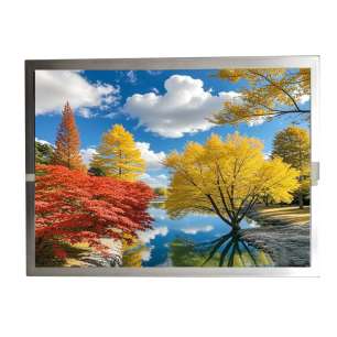 BOE AV104X0M-N10 10.4" TFT LCD P...