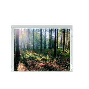 BOE BA121S01-200 12.1" SVGA LCD ...