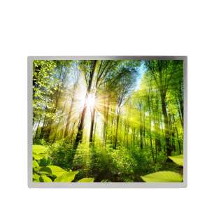 Original BOE AV121X0M-N10 12.1" X...