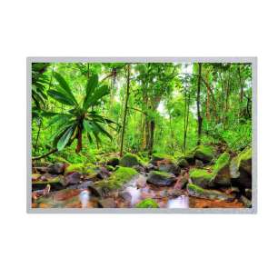 EV121WXM-N12 12.1-inch IPS LCD Di...