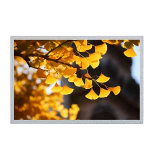 Original EV101WXM-N81 10.1" IPS B...