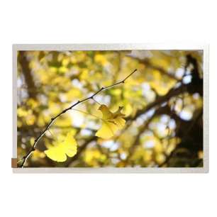 BOE EV101WXM-N80 10.1" LCD Displa...