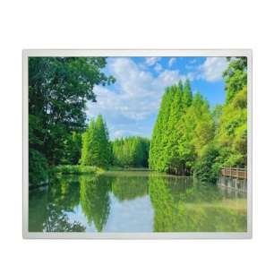 DV170E0M-N10 BOE 17" IPS TFT LCD...