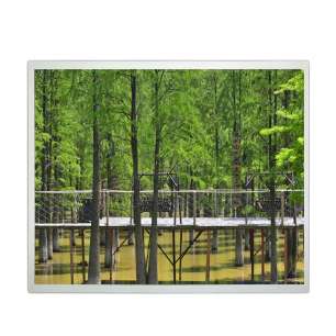 DV170E0M-N12-KW 17" 1280×1024 TFT...