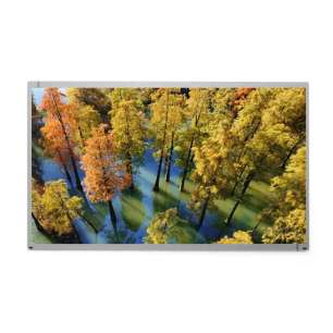 MT185WHM-N20 18.5" HD IPS LCD Di...