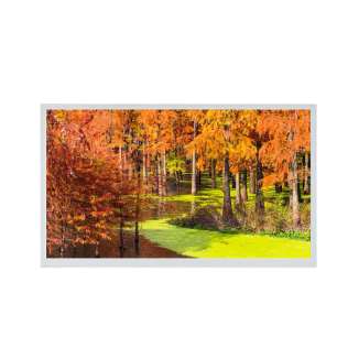 GV185FHM-N10-3M30 18.5" FHD IPS L...