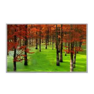 DV185WHM-NM1 18.5" WXGA IPS LCD ...
