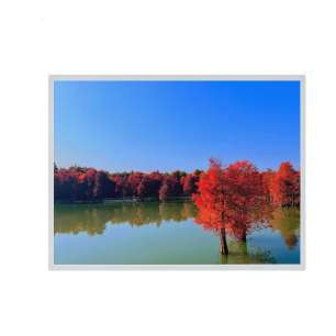 ZV190E0M-N10 19" SXGA IPS LCD Di...