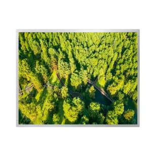 EV190E0M-N10 19" SXGA IPS LCD Di...