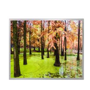 MV190E0M-N10 19" SXGA IPS LCD Di...