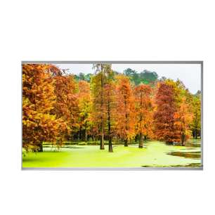 HR215WU1-210 21.5INCH IPS TFT LCD...