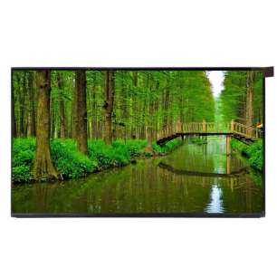 BOE DV133FHM-NN0 13.3" FHD IPS L...