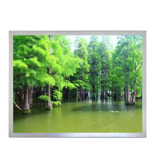 DV150X0M-N10 Original BOE 15" TFT...