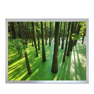 BOE EV150X0M-N10 15" XGA TFT LCD...