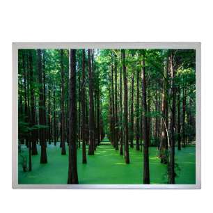 BOE DV150X0M-N11 15" XGA LCD Dis...