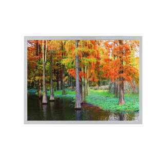 BOE DV150X0M-N12 15" XGA TFT LCD...