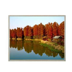 DV170E0M-N30 BOE 17" IPS LCD Dis...