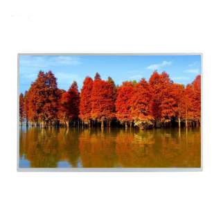 DV238FHM-N11 23.8" FHD IPS LCD D...
