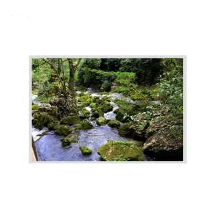 EV213U0M-N10 21.3" BOE IPS LCD P...