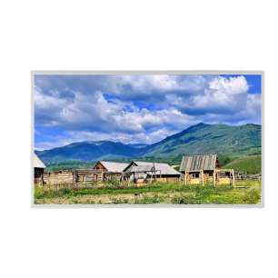 32 inch BOE 1920x1080 DV320FHM-NN...