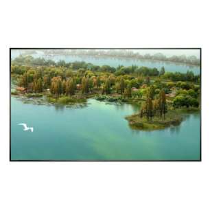 55-Inch BOE DV550QUM-N10 4K 800-N...
