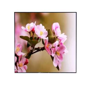 DV332X2M-NV0 33" Square IPS LCD ...
