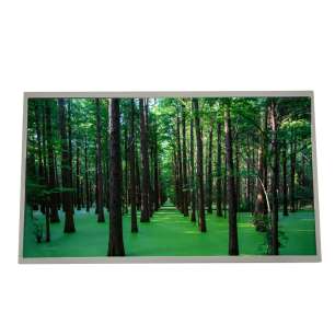 GV215FHM-N10 21.5" FHD IPS LCD D...