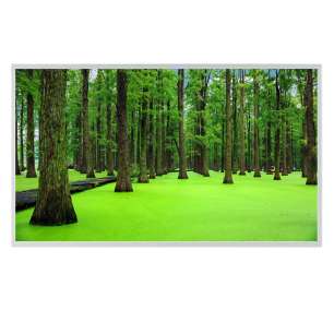 DV215FHM-NN0 21.5" FHD IPS LCD D...