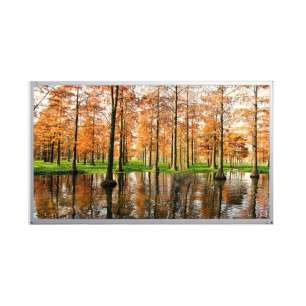 UV215FHM-N10 21.5" FHD IPS LCD D...