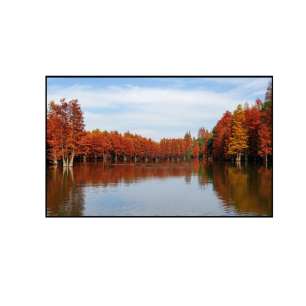 MV238FHM-N10 23.8" FHD LCD Displa...