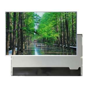 EV238FHM-N12 23.8" FHD IPS LCD D...