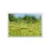 15 inch LCD panel M150GNN2 R0 support 1024*768 500cd/m,lvds input,60HZ LCD scree