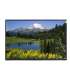New 10.1 inch 1280x800 IVO IPS TFT LCD Panel For Industry M101GWWF R0