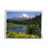 IVO 12.1 inch LCD panel M121MNS1 R1 support800(RGB)*600, SVGA, 82PPI ,450 cd/m²