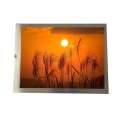 6.5-Inch Industrial LCD Display P0650VGF2MB31