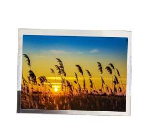 P0700WVN1ME01 | 7-inch 300 nits Industrial TFT LCD | Tianma TN Display Module