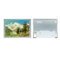 TIANMA 10.1` WSVGA TFT LCD, P1010WSN1ME01