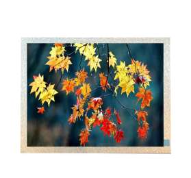 TIANMA P1010WSN1ME00 10.1