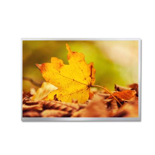 TIANMA 10.4` XGA TFT LCD, P1040XGF1MB01