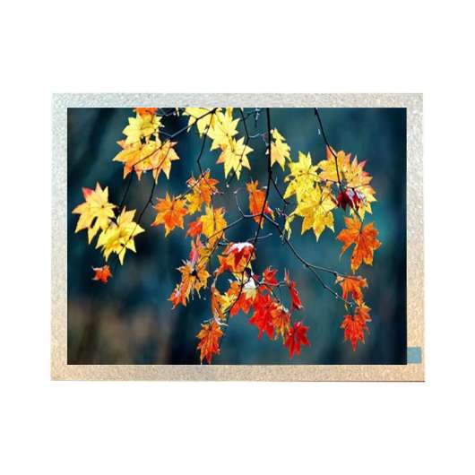 TIANMA P1010WSN1ME00 10.1` LCD