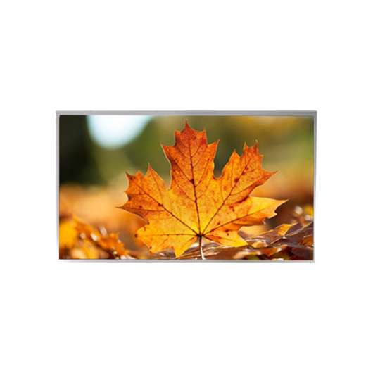 TIANMA 10.1` TFT LCD, P1010WXF1MB10