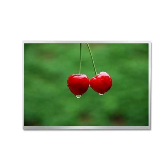 TIANMA 10.1` Industrial TFT LCD, P1010WXF1ME20