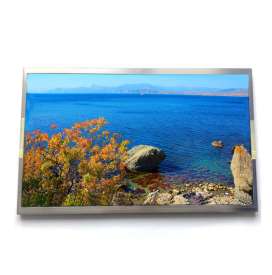 Tianma 13.3-inch P1330FHF1ME10 Industrial LCD | 1920×1080 FHD | eDP Interface & Wide Temp