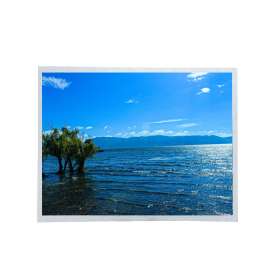 Tianma 15.0-inch P1500XGF2MA00 Industrial LCD | 1024×768 XGA | 500 nits & Wide Temperature