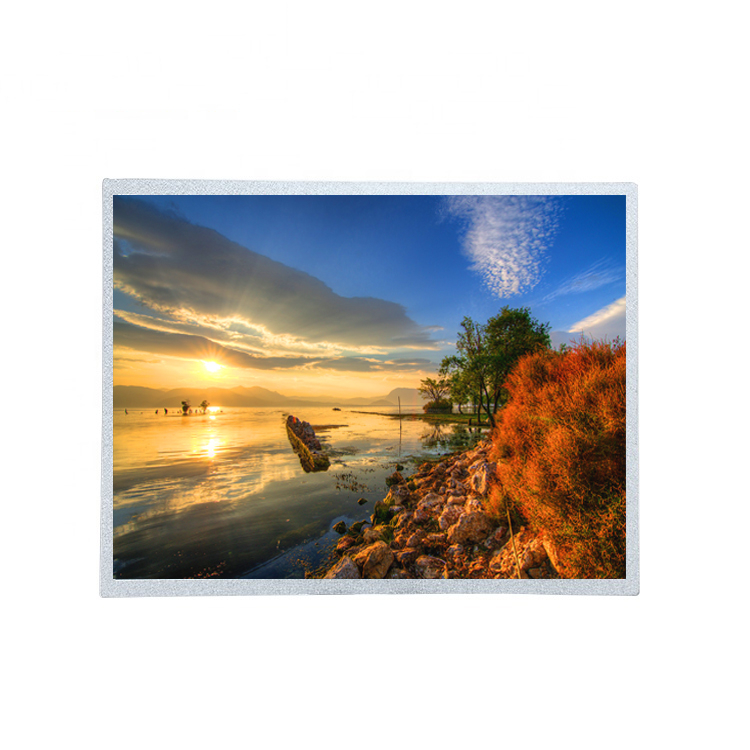 What is a black and white LCD screen (monochrome screen)?