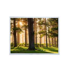 Tianma P1500XGF1MB02 15-inch XGA LCD Module | LVDS Interface, 600 nits, Industrial TFT Display