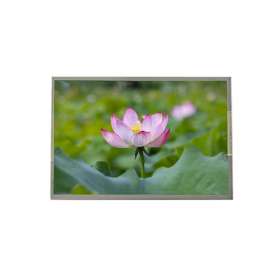 Tianma P1230FHF1MA00 12.3-inch FHD Industrial LCD | 1400 nits High Brightness, LVDS Interface, Wide Temperature