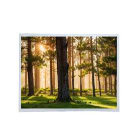 Tianma P1500XGF1MB02 15-inch XGA LCD Module | LVDS Interface, 600 nits, Industrial TFT Display