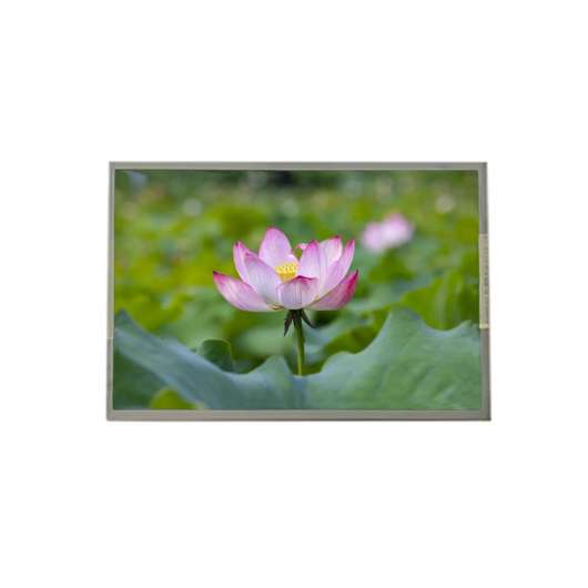 Tianma P1230FHF1MA00 12.3-inch FHD Industrial LCD 