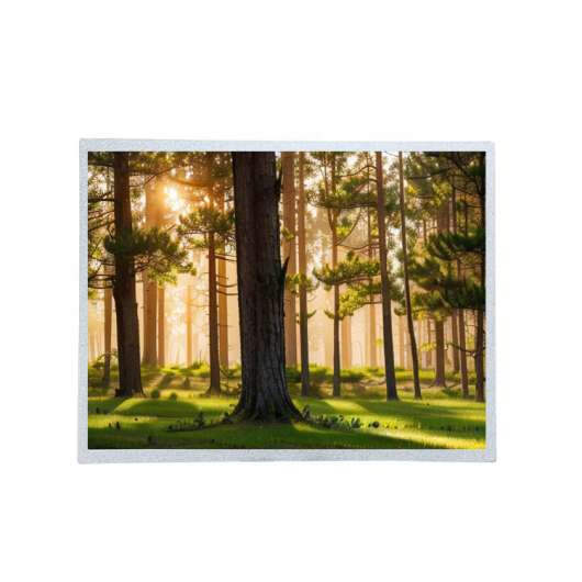 Tianma P1500XGF1MB02 15-inch XGA LCD Module  LVDS Interface, 600 nits, Industrial TFT Display